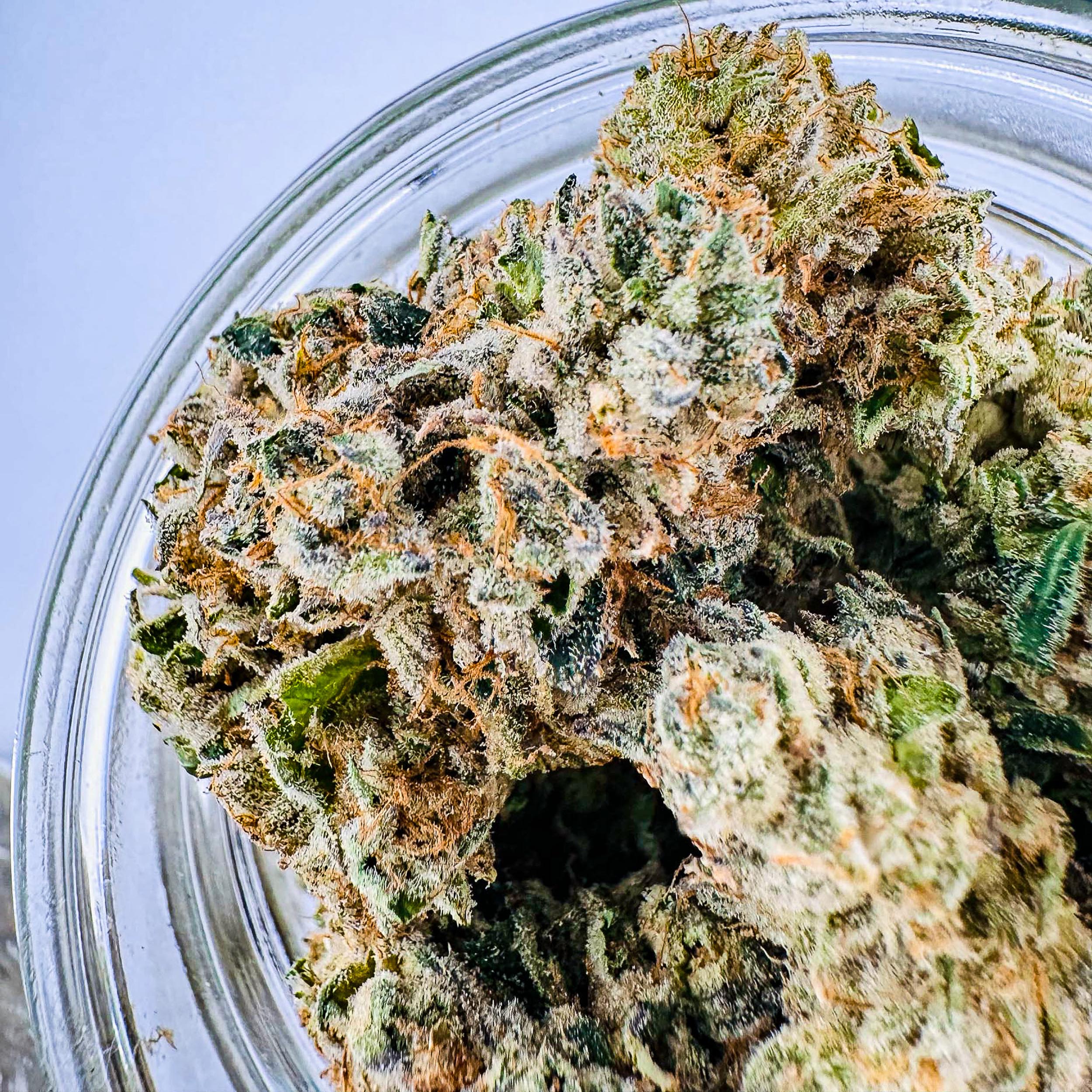 Premium Cannabis Delivered. - Image 3